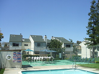 Our Solar Heated Pool Among The Redwoods